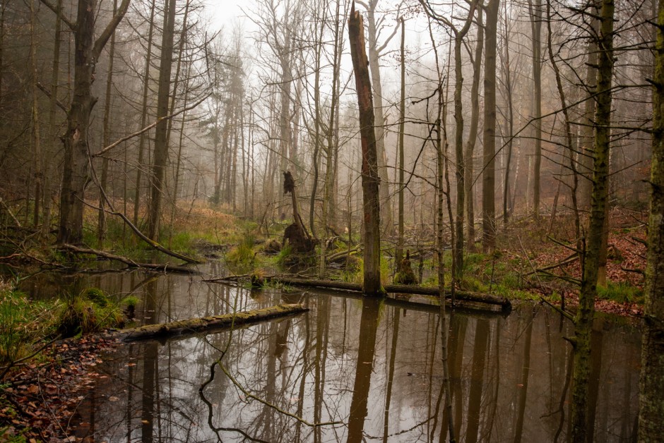 Mamy dwa nowe rezerwaty w regionie