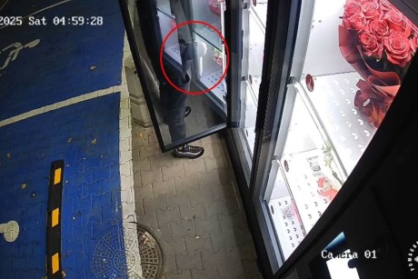 [WIDEO] Po kwiaty… z nożem w ręku