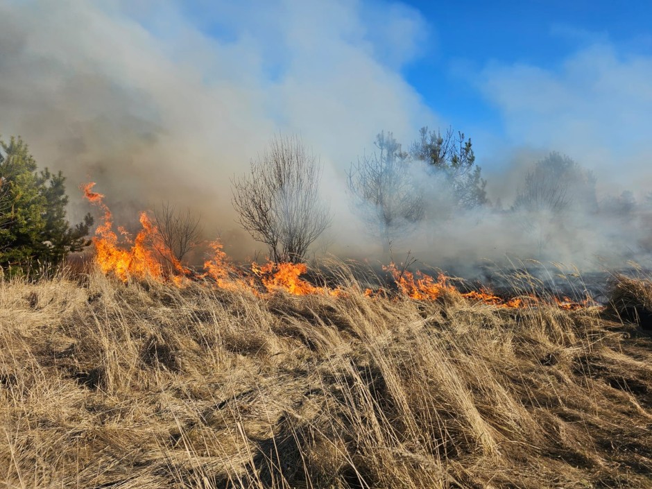 11 pożarów traw jednego dnia i dwie ranne osoby