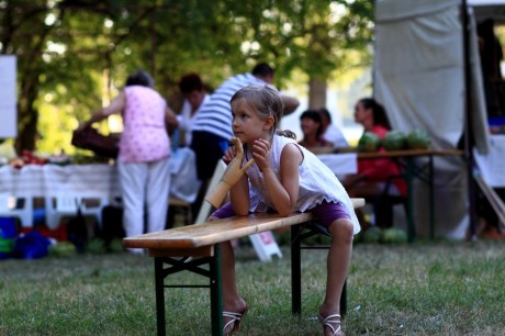 Zbiórka elektrośmieci i piknik rodzinny. Dzieci będą zbierać na salę teatralną