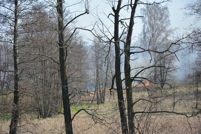 Kolejny pożar traw w regionie