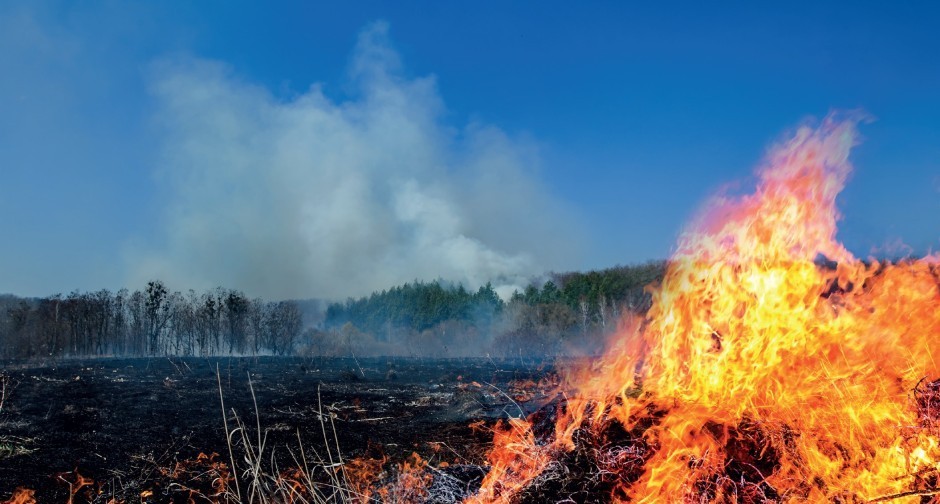 Pożar domu w Krajnie - Parcele i lasu w Makoszynie
