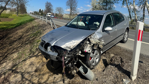 Pies na jezdni i… kolizja gotowa