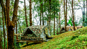 Obóz przetrwania dla dzieci: 5 rzeczy, które każdy młody podróżnik powinien wiedzieć przed wyjazdem