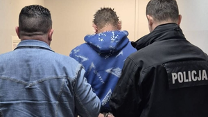 Odpowie za podpalenia. 34-latek w areszcie