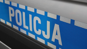 Chciał uniknąć zderzenia z dzikim zwierzęciem i wjechał do rowu