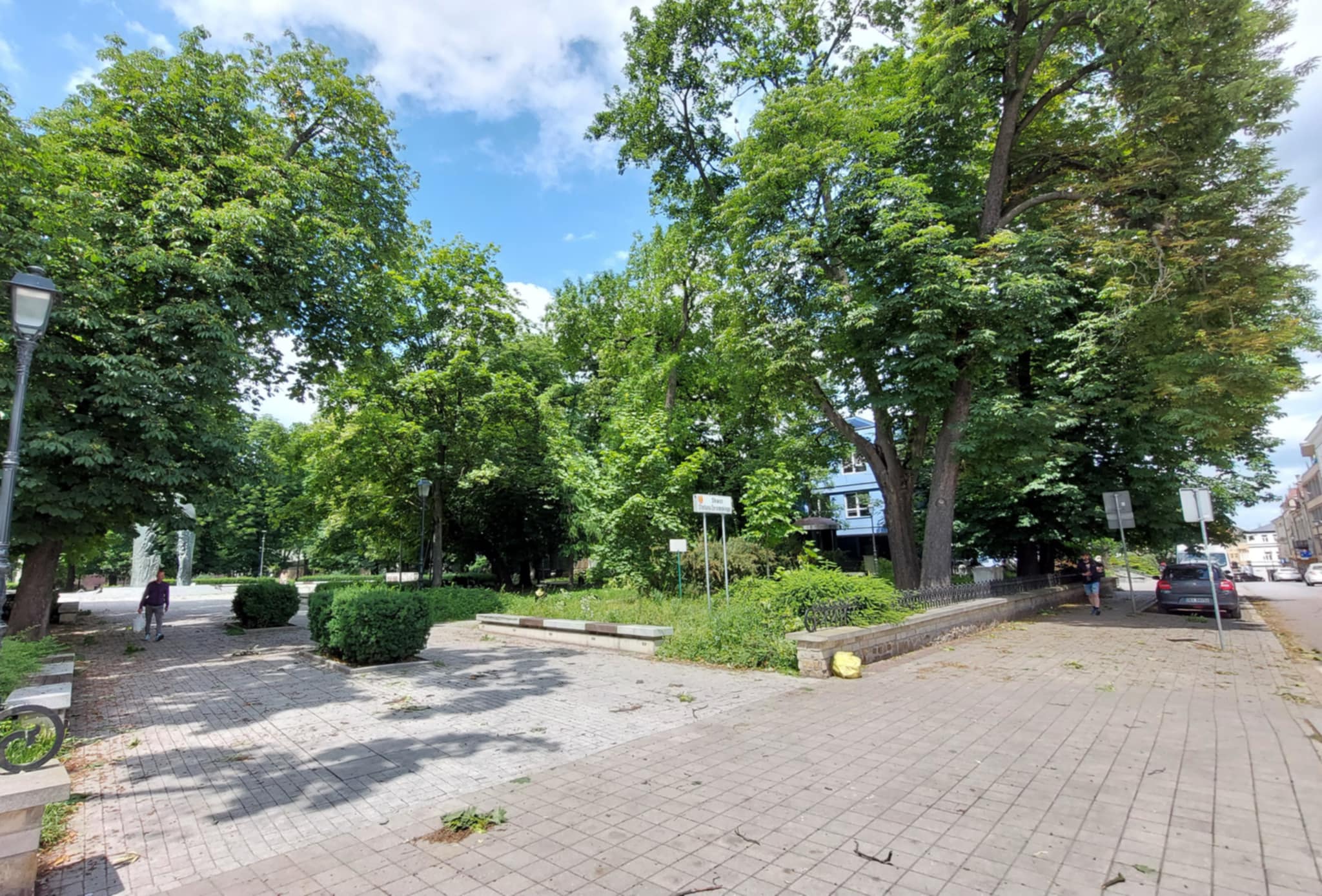 Szczury1.jpeg