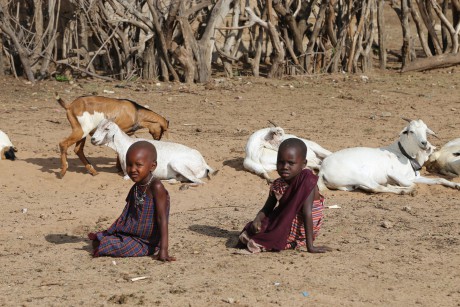 Pomóżmy masajskim dzieciom. Ostatnie dni zbiórki
