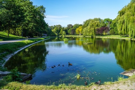 Strażacy zapraszają na piknik do Parku Miejskiego