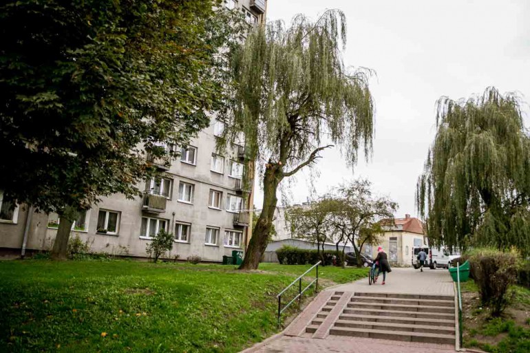 Na KSM chcą ściąć trzydziestoletnią wierzbę. Mieszkańcy postawili warunek