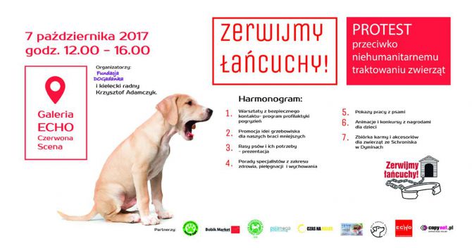 Obchody Światowego Dnia Zwierząt
