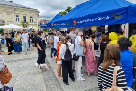 Szukali pracy na kieleckim rynku