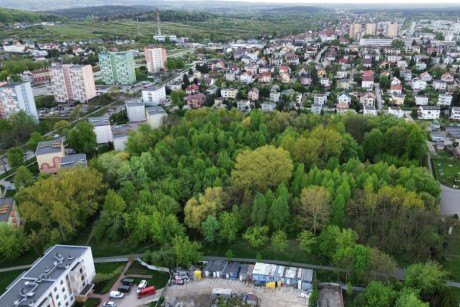 Coraz bliżej parku na Czarnowie