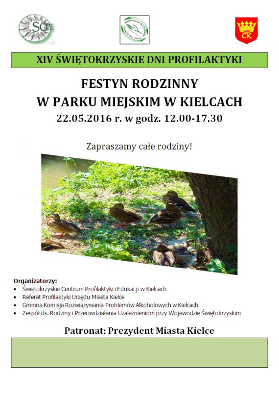Festyn rodzinny w Parku Miejskim