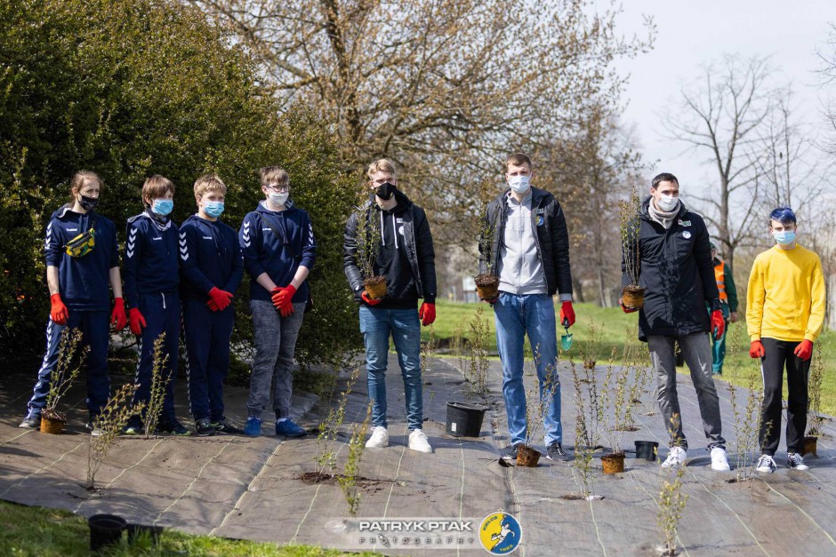 [FOTO] Zawodnicy Łomży Vive sadzili krzewy na Czarnowie