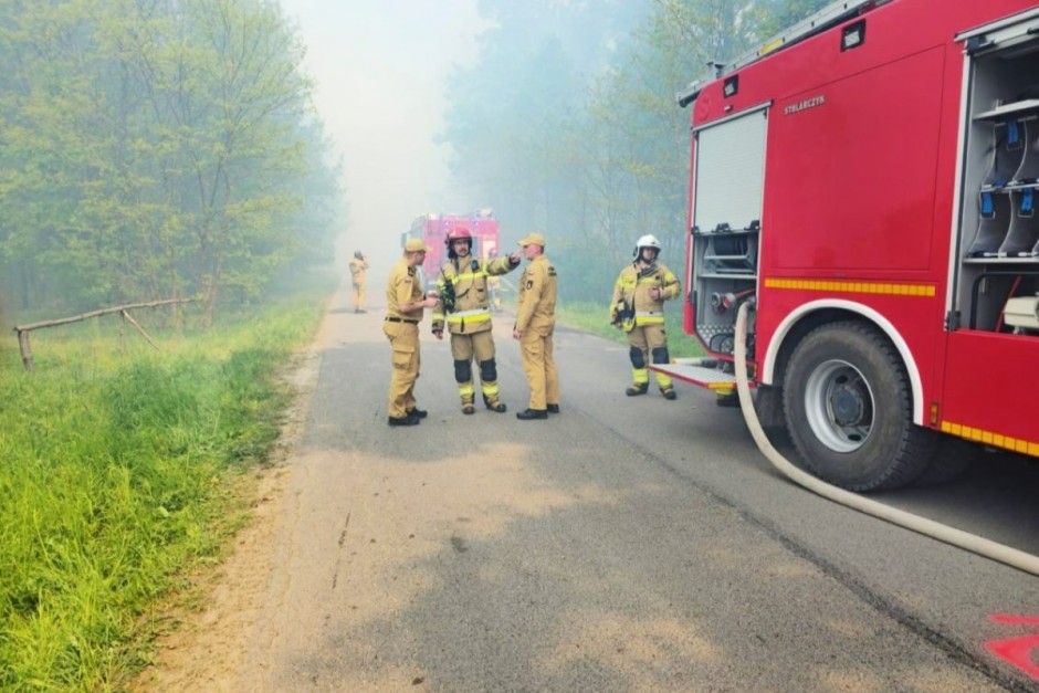 Pożar lasu w Snochowicach