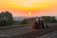 Rolnicy protestują, sejmik apeluje. Powodem napływające zboże z Ukrainy