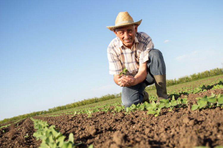 Rolnicy się ucieszą. Od 15 lipca rusza nabór wniosków na dofinansowanie regeneracji gleby