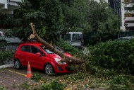 IMGW ostrzega przed burzami. A strażacy apelują o rozsądek