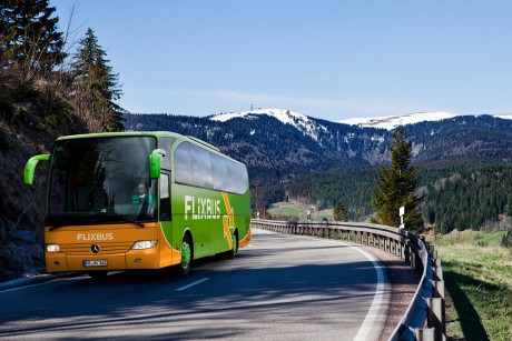 FlixBus wznawia połączenia na okres świąteczno-noworoczny. Będą też kursy przez Kielce