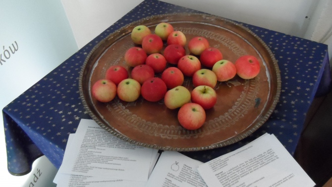 Chmielnik wspiera akcję jedzenia polskich jabłek