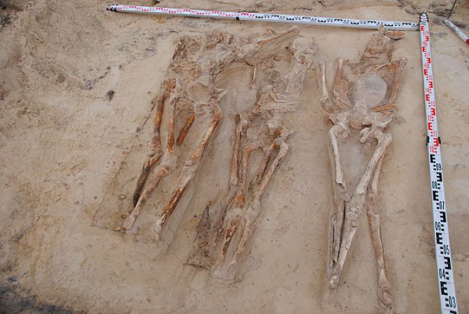 Budowlańcy znaleźli szkielety. Do kogo należały?