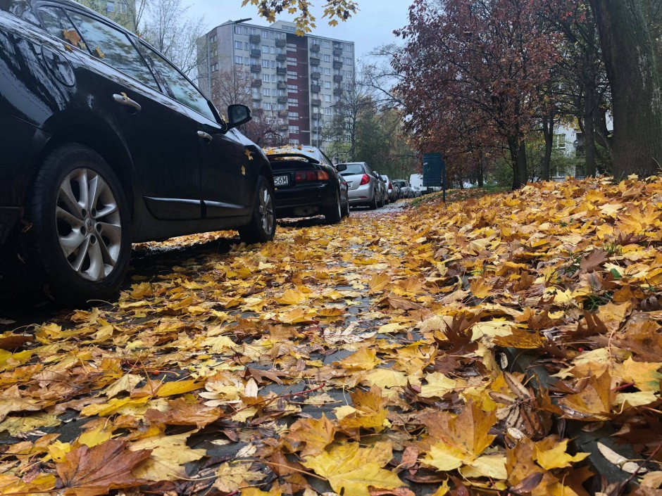 [INTERWENCJA] Na chodnikach zalegają mokre liście