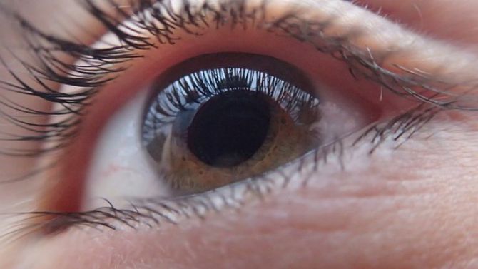 Darmowe badania oczu