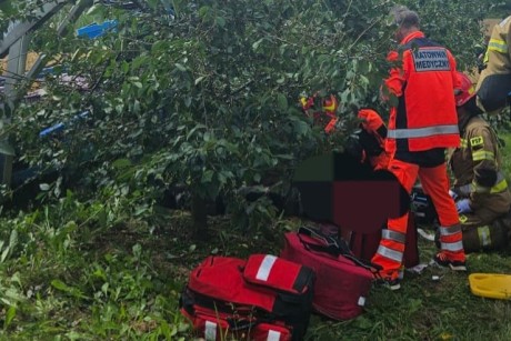 Mężczyzna porażony prądem podczas prac w sadzie. Jest w ciężkim stanie