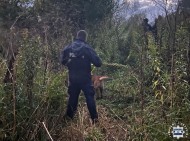 Szczęśliwy finał poszukiwań 46-latka. W akcji pies tropiący