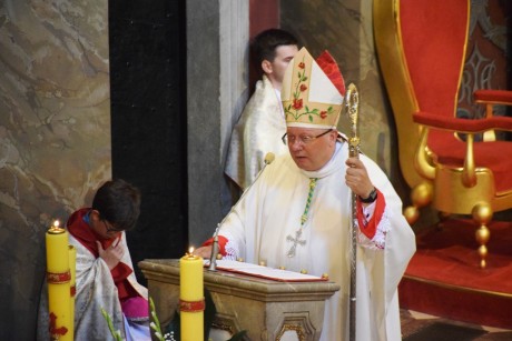 Arcybiskup Henryk Jagodziński: Marsz dla Życia i Rodziny uświadamia, że nie jesteśmy sami
