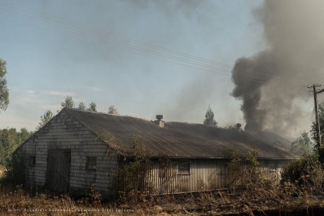 Weekend pod znakiem pożarów. Uwaga, w lasach jest bardzo sucho!