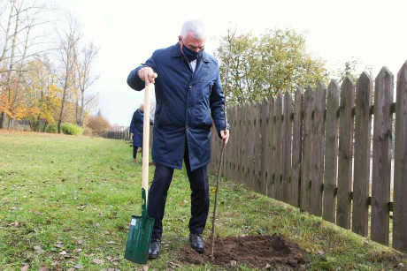 Urząd Marszałkowski rozpoczął akcję nasadzenia drzew i krzewów miododajnych