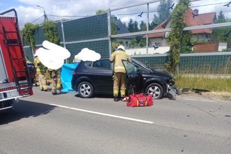 Wypadek w Promniku. Na miejscu służby