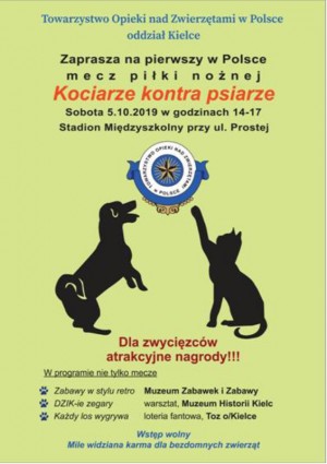 Kociarze kontra psiarze