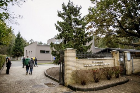 Wojewoda przekazał dary dla schroniska