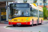 W Kielcach powstanie więcej przystanków autobusowych?