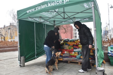 W centrum miasta rozdają karmę dla czworonogów