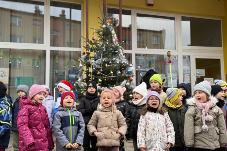 [FOTO] Choinka na Czarnowie znów cieszy oczy
