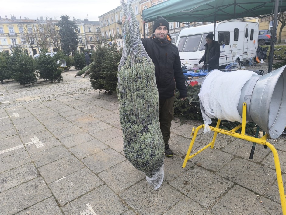 [SONDA] Tam kupisz świąteczne drzewko przez całą dobę!