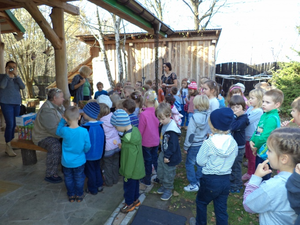 Krokodyl - Połykacz w Kurozwękach