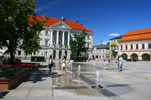 Samochody wracają do centrum? 