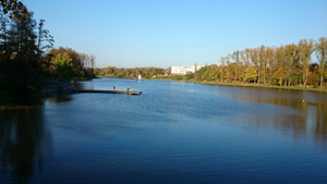 Co pływa w Silnicy? Sprawdzą to Francuzi