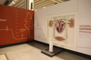 Wystawa chętnie oglądana