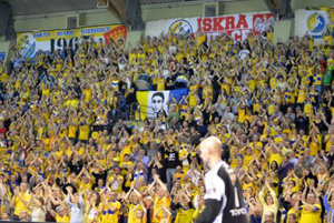 Bilety na mecz Vive Tauron Kielce - SG Flensburg