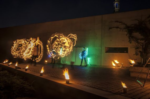 Wystartowało Święto Kielc! Tłumy na Białej Nocy