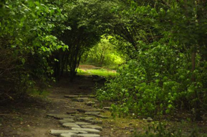 Są działki na rządowy program Mieszkanie+