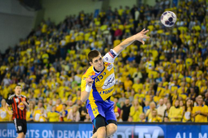 Terminarz Vive w lutym