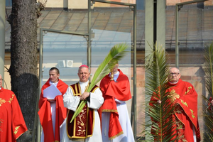 [FOTO] Niedziela Palmowa