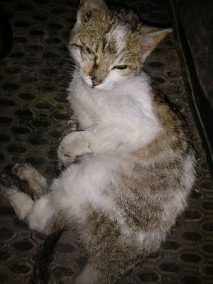 Policja poszukuje sprawcy